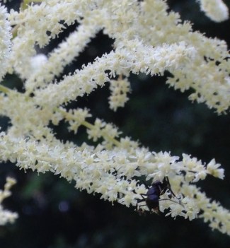 20140630-152251.jpg