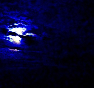 20140811-003749.jpg