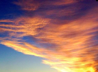 IMG_0501.JPG