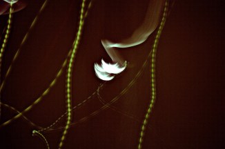 IMG_1659.JPG